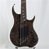 Z3 5strings Maple Burl Top/Alder Body/Wenge Neck (Transparent Charcoal and Ducati White)