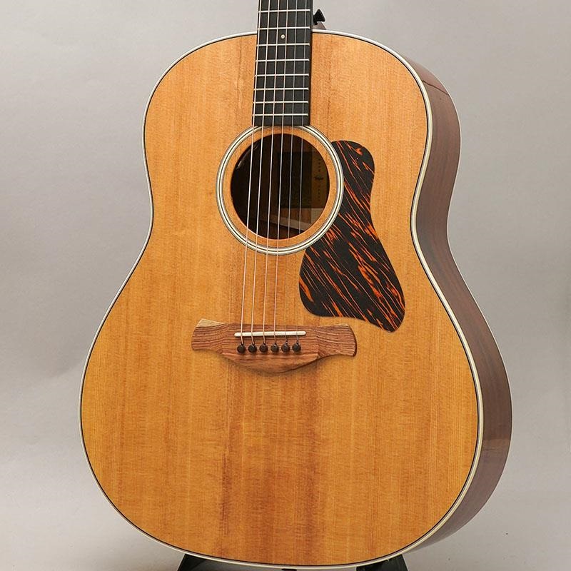 TAYLOR Gold Label 517e テイラー