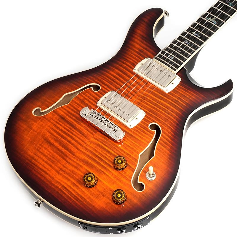 SE Hollowbody II Piezo (Orange Tiger Smokeburst)の商品画像