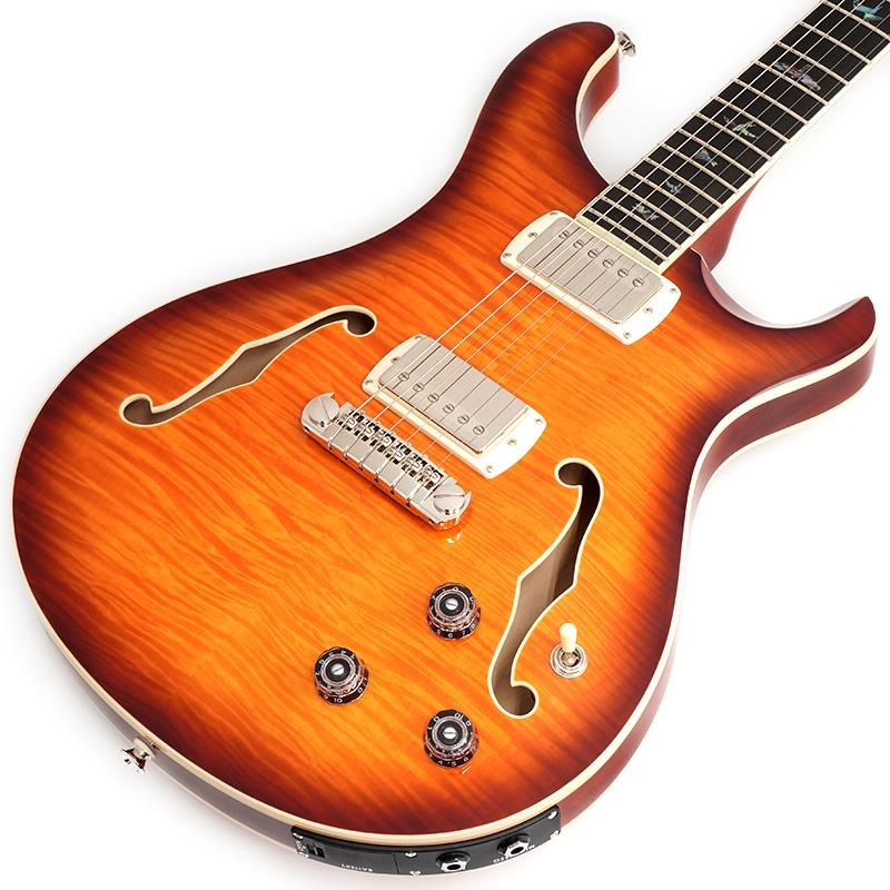 SE Hollowbody II Piezo (Vintage Sunburst)の商品画像
