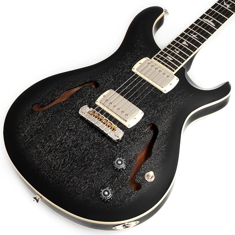 P.R.S. SE Hollowbody Standard (Dog Hair Smokeburst) ｜イケベ楽器店