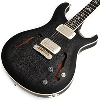 SE Hollowbody Standard (Dog Hair Smokeburst)