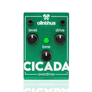 olinthus CICADA（オーバードライブ） ｜イケベ楽器店オンラインストア