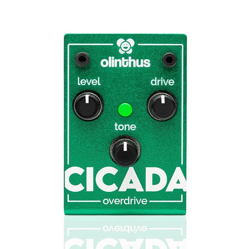 olinthus CICADA（オーバードライブ） ｜イケベ楽器店オンラインストア