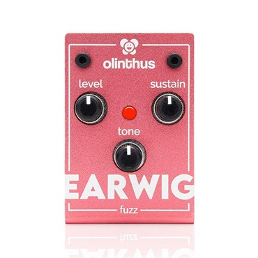 olinthus EARWIG（ファズ）