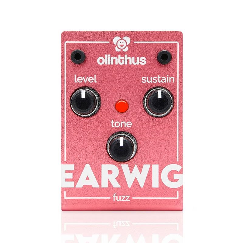 olinthus EARWIG（ファズ）