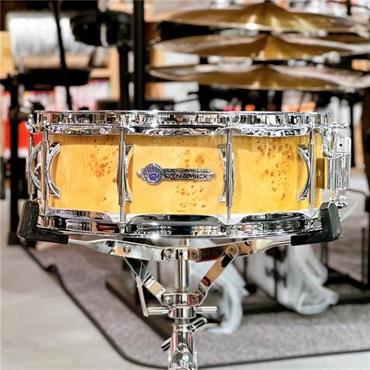 No Bland USED 中古 CCBS 13×7 914 [CHAMELEONCOMPLETE 13×7/Light