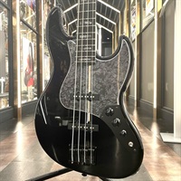 Standard Series Beta J4 (Black Metallic/Block)