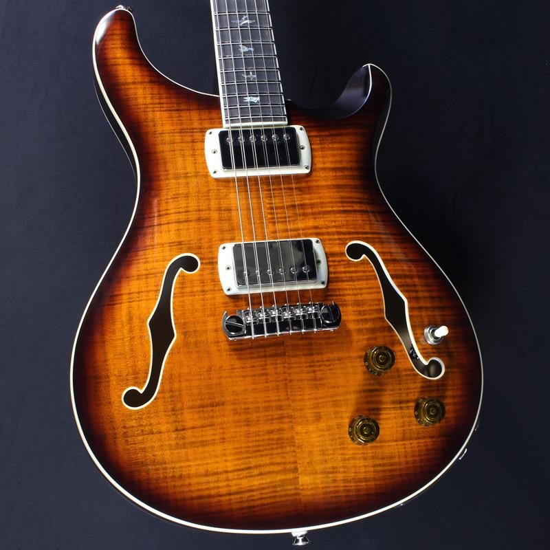 SE Hollowbody II Piezo (Orange Tiger Smokeburst) #CTCI04089の商品画像