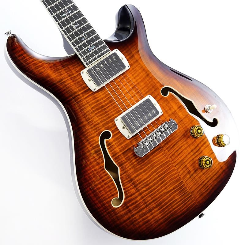 SE Hollowbody II Piezo (Orange Tiger Smokeburst) SN.CTCI04226の商品画像