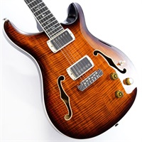 SE Hollowbody II Piezo (Orange Tiger Smokeburst) SN.CTCI04226