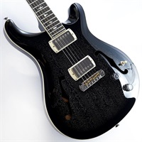 SE Hollowbody Standard (Dog Hair Smokeburst) SN.CTCI04016