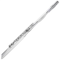【新製品】 ローランド / Aerophone Brisa デジタル管楽器 AE-BRISA エアロフォン・ブリサ