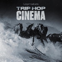 Trip Hop Cinema (シネマティック)(トリップホップ)(サンプルパック)(オンライン納品)(2時間以内に納品)