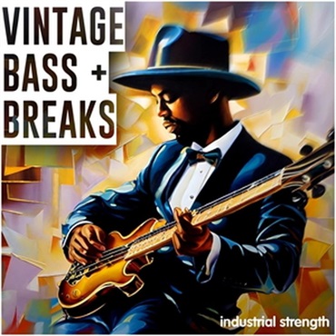 INDUSTRIAL STRENGTH Vintage Bass & Breaks (オールドスクール)(ブレイクビーツ)(サンプルパック)(オンライン納品)(2時間以内に納品)