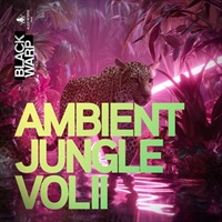 Ambient Jungle Vol 2 by Blackwarp (アンビエントジャングル)(サンプルパック)(オンライン納品)(2時間以内に納品)