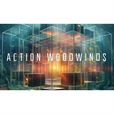 Native Instruments Action Woodwinds (ウッドウィンズ)(オンライン納品)(2時間以内に納品)