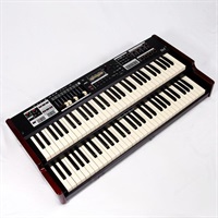 USED 中古 SK2 専用ソフトケース付属 ※配送事項要ご確認