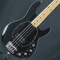 USED 中古 StingRay (Black/Maple)
