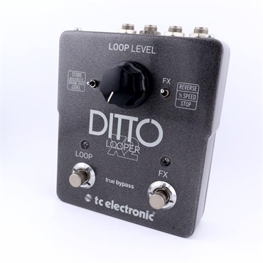 tc electronic DITTO LOOPER（ティーシーエレクトロニック）ルーパー