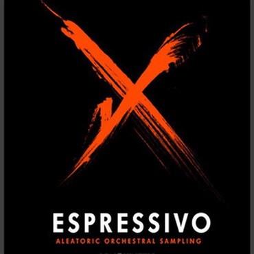 Sonokinetic Espressivo (オーケストラ)(フレーズ)(Kontaktライブラリ)(オンライン納品)(2時間以内に納品)