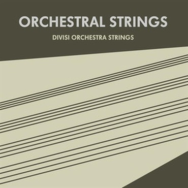 Sonokinetic Orchestral Strings (オーケストラ)(Kontaktライブラリ)(ストリングス)(オンライン納品)(2時間以内に納品)