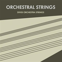 Orchestral Strings (オーケストラ)(Kontaktライブラリ)(ストリングス)(オンライン納品)(2時間以内に納品)