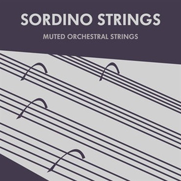 Sonokinetic Sordino Strings (オーケストラ)(Kontaktライブラリ)(ストリングス)(オンライン納品)(2時間以内に納品)