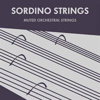 Sordino Strings (オーケストラ)(Kontaktライブラリ)(ストリングス)(オンライン納品)(2時間以内に納品)