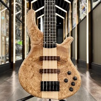 PH9-5 Burl Maple