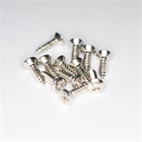 ミリサイズ STタイプ PG用ビス NI (12個セット ) [119-01-017-03]