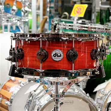 DAY6　ドウン⑭ dw DR865514SSN646 Collector's SonicPly Snare Drum 14x5.5 [Natural