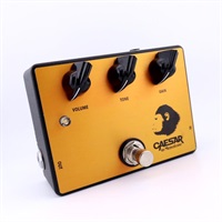 USED 中古 CAESTAR シーザー (masatone マサトーン) overdrive オーバードライブ