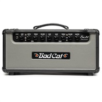 ERA 30 Head Gray（バッドキャット）