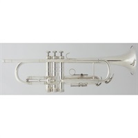 USED 中古  C.G.コーン / 8-B #R12**2 【Bb トランペット】