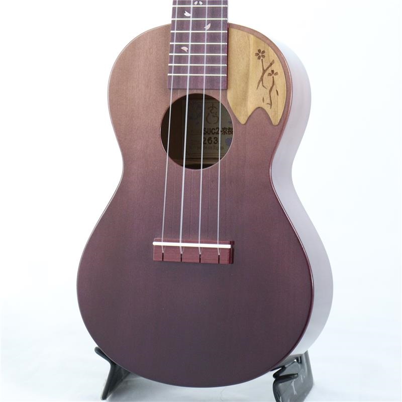 Headway SUS2-京桜　京紫 【ディバイザー大商談会2025選定品】 ヘッドウェイ