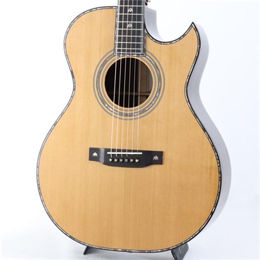 FONZO GUITARS V-33C SJFC