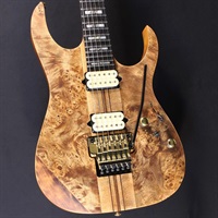 IKEBE JUNGLE GUITARS エレキギター‼️ 楽天市場】【中古】 エレキギター IJG250 イケベ 弦楽器 : Rehello