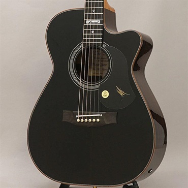 Martin エレアコ アコースティック・エレアコギター MARTIN Signature Models 商品一覧