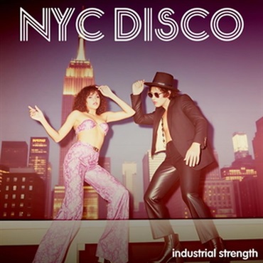 【ループマスターズホリデーセール！】NYC Disco (ディスコサウンド)(サンプルパック)(オンライン納品)(2時間以内に納品)