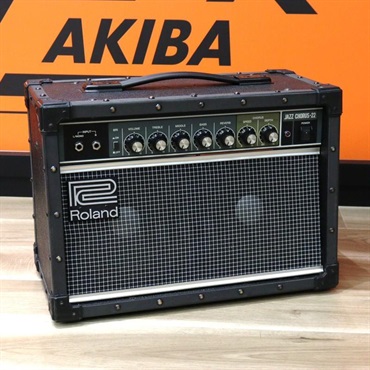 ギターアンプ・ベースアンプ Roland CUBE Series 商品一覧｜イケベ楽器