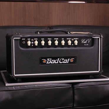 Bad Cat CUB V EL34 Head