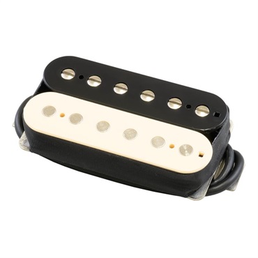 Aria ProII AHB-TJO SET ZEB (Two Humbucker， Zebra)