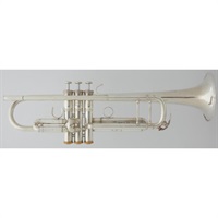 USED 中古 ヤマハ / YTR-8335WS #534**8 【Bb トランペット】