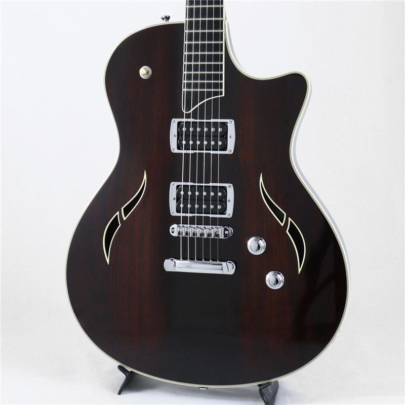 USED 中古 XXXV T3-C 35th Anniversary Cocobolo [SN.20090715602] テイラーの商品画像