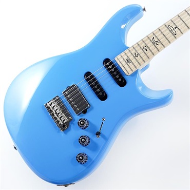 エレキギター P.R.S. PRS CORE MODELS (Custom／McCarty) 商品一覧