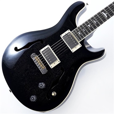 エレキギター P.R.S. グランディ&ジャングル 商品一覧｜イケベ楽器店