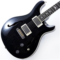 USED 中古 SE Hollowbody Standard (Dog Hair Smokeburst) SN.CTCH05283