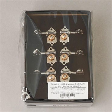 Waverly #11129 Ni Vintage Oval 3L/3R ウェーバリー ｜イケベ楽器店