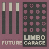 Limbo Future Garage (サンプルパック)(フューチャーガラージ)(オンライン納品)(2時間以内に納品)